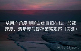 从用户角度聊聊白虎自扣在线：加载速度、清晰度与缓存策略观察（实测）