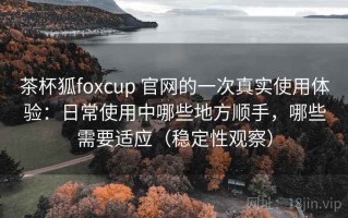 茶杯狐foxcup 官网的一次真实使用体验：日常使用中哪些地方顺手，哪些需要适应（稳定性观察）