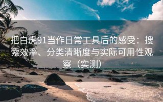 把白虎91当作日常工具后的感受：搜索效率、分类清晰度与实际可用性观察（实测）