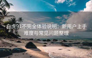 白虎91不完全体验说明：新用户上手难度与常见问题整理