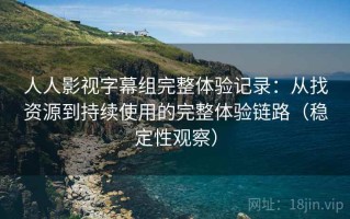 人人影视字幕组完整体验记录：从找资源到持续使用的完整体验链路（稳定性观察）