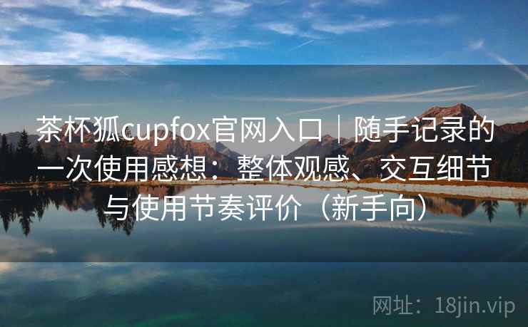 茶杯狐cupfox官网入口｜随手记录的一次使用感想：整体观感、交互细节与使用节奏评价（新手向）-第2张图片