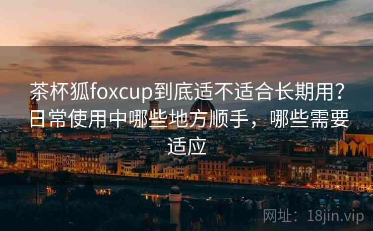 茶杯狐foxcup到底适不适合长期用?日常使用中哪些地方顺手,哪些需要适应-第2张图片 茶杯狐foxcup到底适不适合长期用?日常使用中哪些地方顺手,哪些需要适应-第2张图片