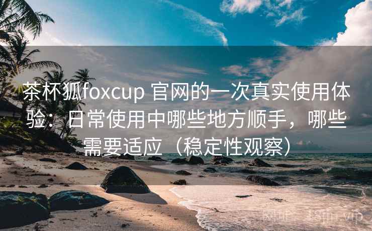 茶杯狐foxcup 官网的一次真实使用体验：日常使用中哪些地方顺手，哪些需要适应（稳定性观察）-第2张图片