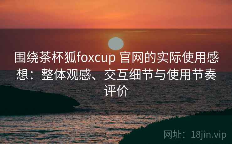 围绕茶杯狐foxcup 官网的实际使用感想：整体观感、交互细节与使用节奏评价-第2张图片