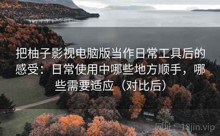 把柚子影视电脑版当作日常工具后的感受：日常使用中哪些地方顺手，哪些需要适应（对比后）-第2张图片
